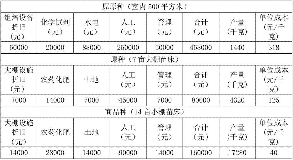 Technology for establishing Pinellia ternate three-generation seed stem breeding system