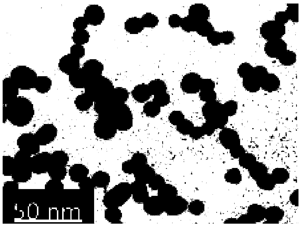 Gold nanoparticle and preparing method thereof