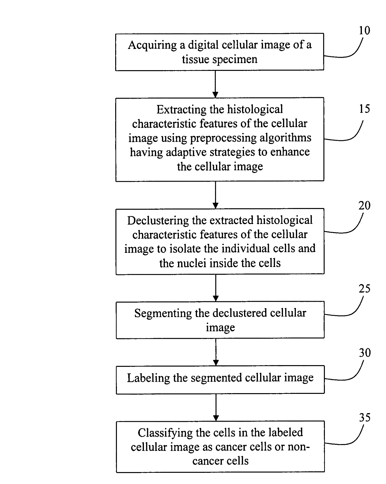 Computer-aided pathological diagnosis system