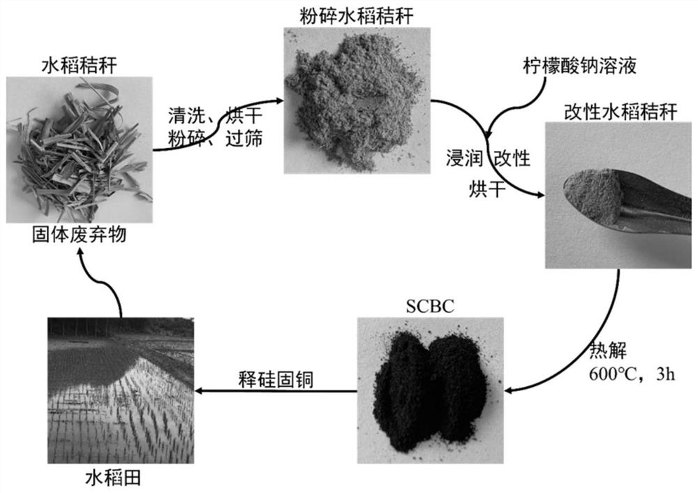 Simultaneously high-efficiency silicon release and heavy metal adsorption modified biochar and preparation method