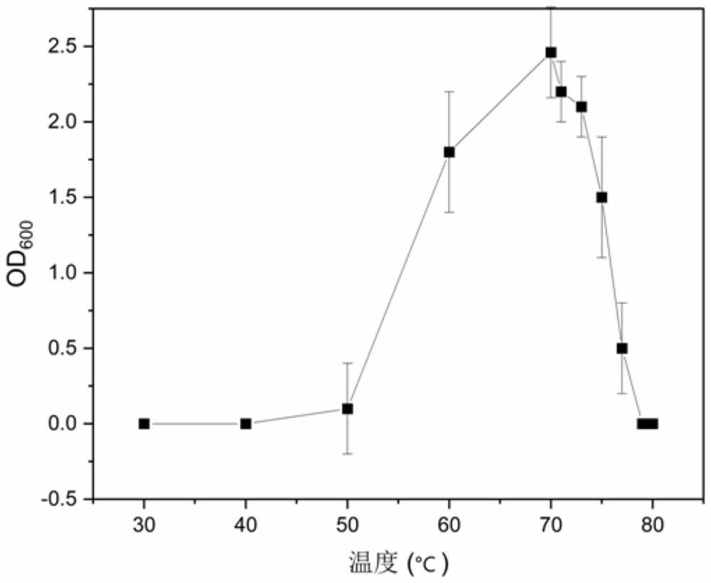 A kind of Methylobacterium thermophilus and its application in organic solid waste