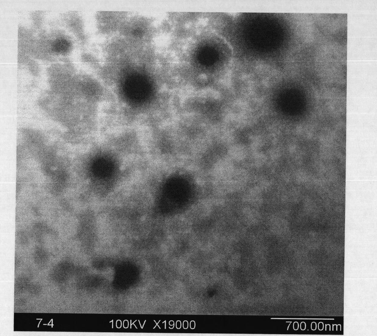 Photocrosslinking nano hydrogel and preparation method thereof