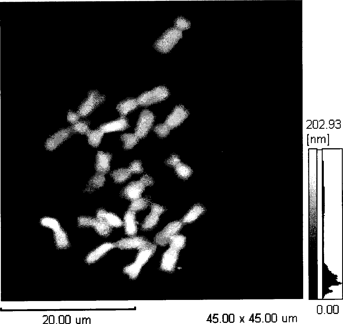 Accurate positioning method based on atomic force microscope