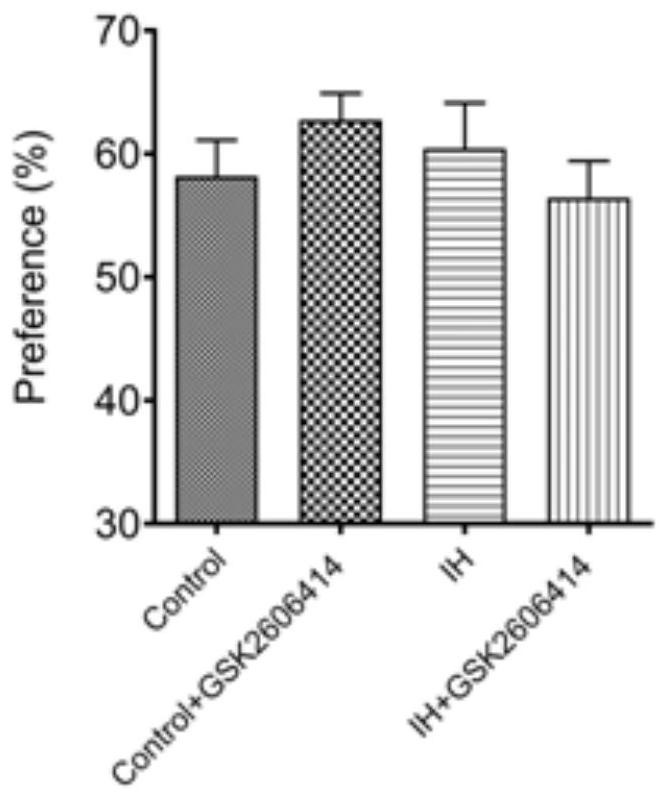 A small molecule drug and its use in the treatment of intermittent hypoxia