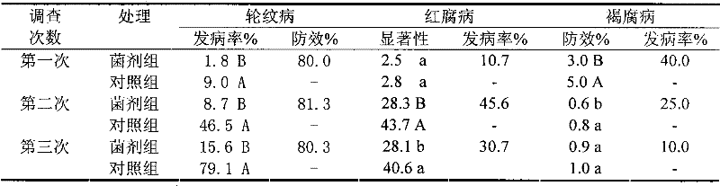 Inocula for preventing apple fungous diseases and increasing yield, and special strain therefore and use thereof