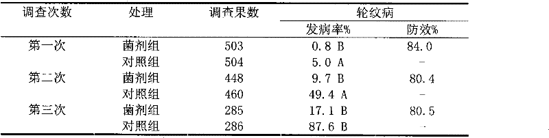 Inocula for preventing apple fungous diseases and increasing yield, and special strain therefore and use thereof