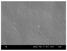 A kind of chitosan/lithium chloride mixed film and its preparation method and application