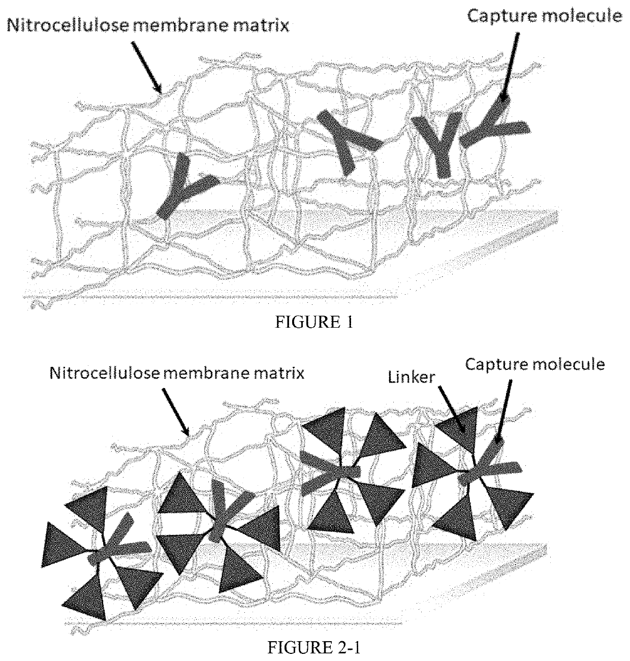 Nitrocellulose membrane comprising non-covalently attached organic nanostructured molecule