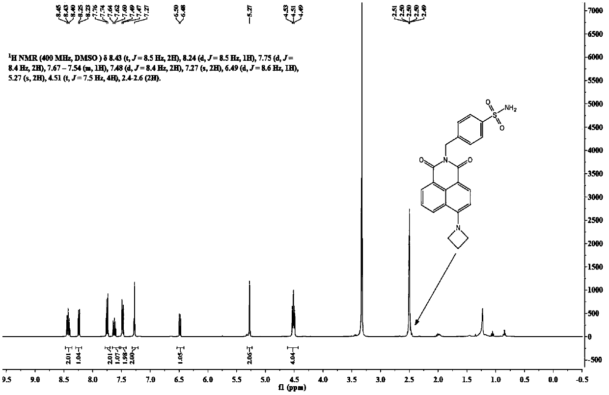 Carbonic anhydrase fluorescent probe with high brightness and high light stability
