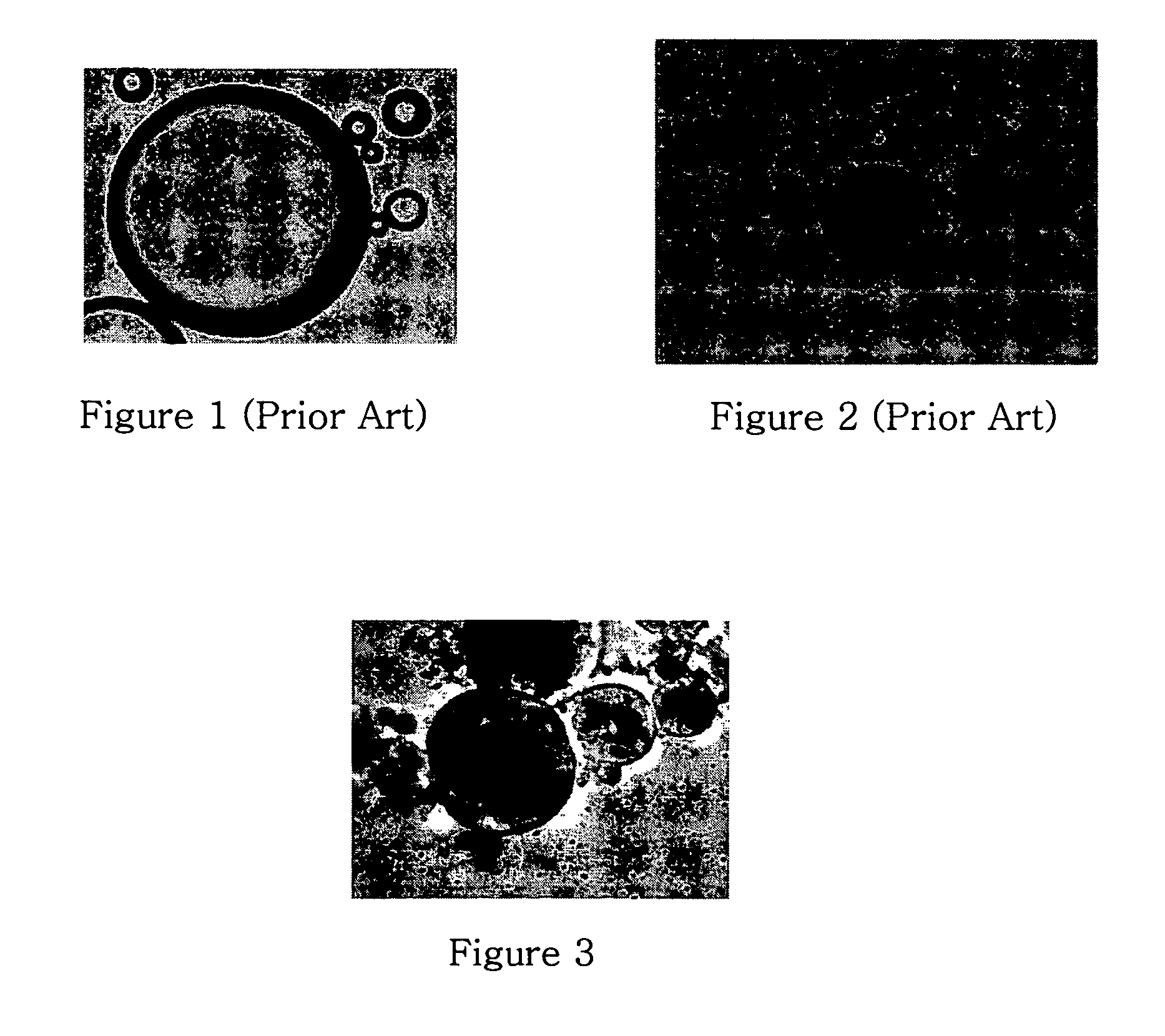 Paramagnetic polymerized protein microspheres and methods of preparation thereof