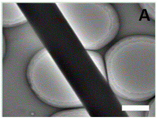 Organic nano electrochemical luminescence response sensor and manufacturing method thereof