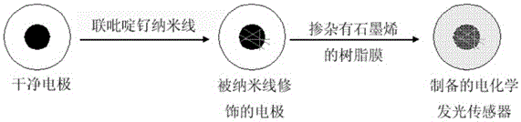 Organic nano electrochemical luminescence response sensor and manufacturing method thereof