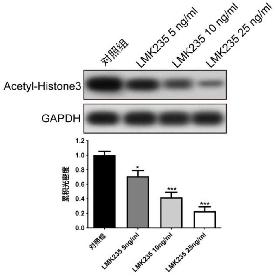 Application of LMK235 in medicine for inhibiting scar formation