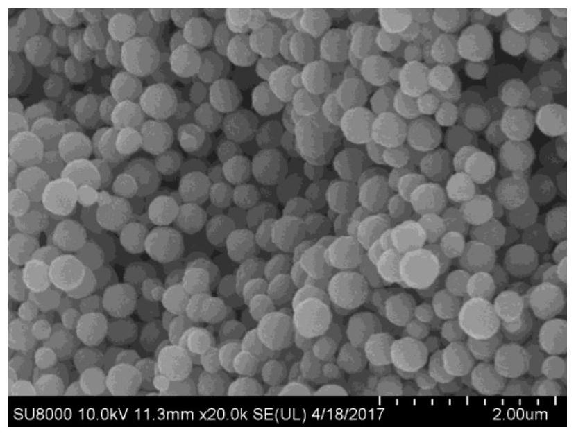 Magnetic cross-linked chitosan as well as preparation method and application thereof