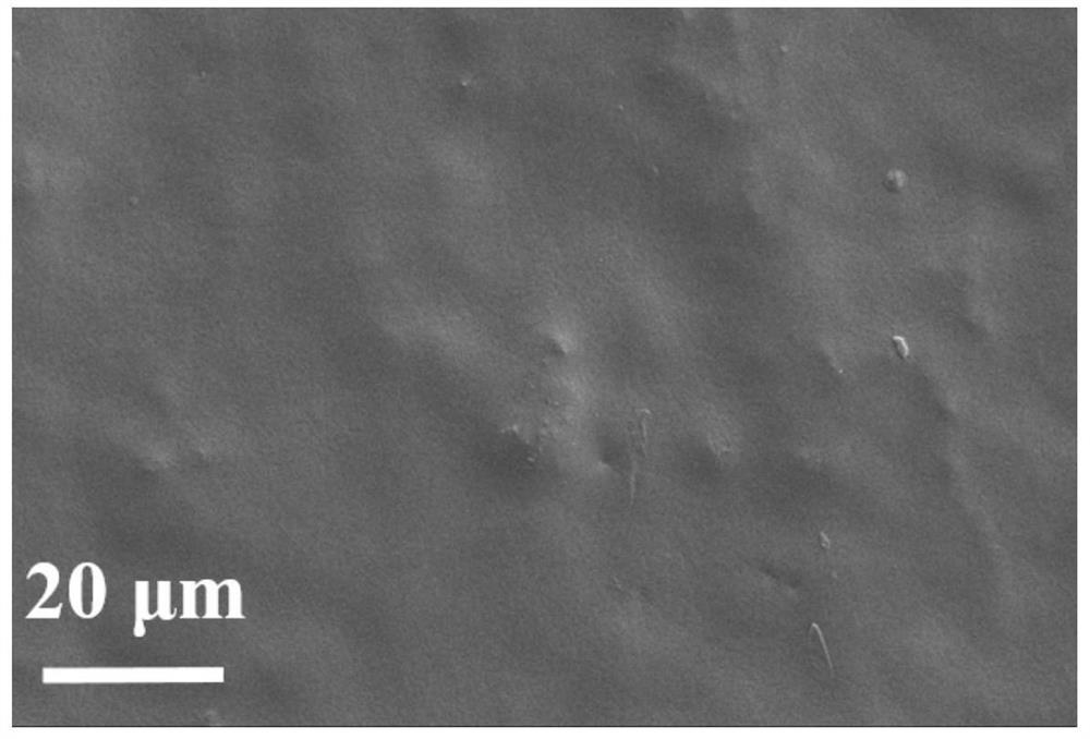 A kind of micro/nano cellulose fibril/polyglycolic acid film and its preparation method and application