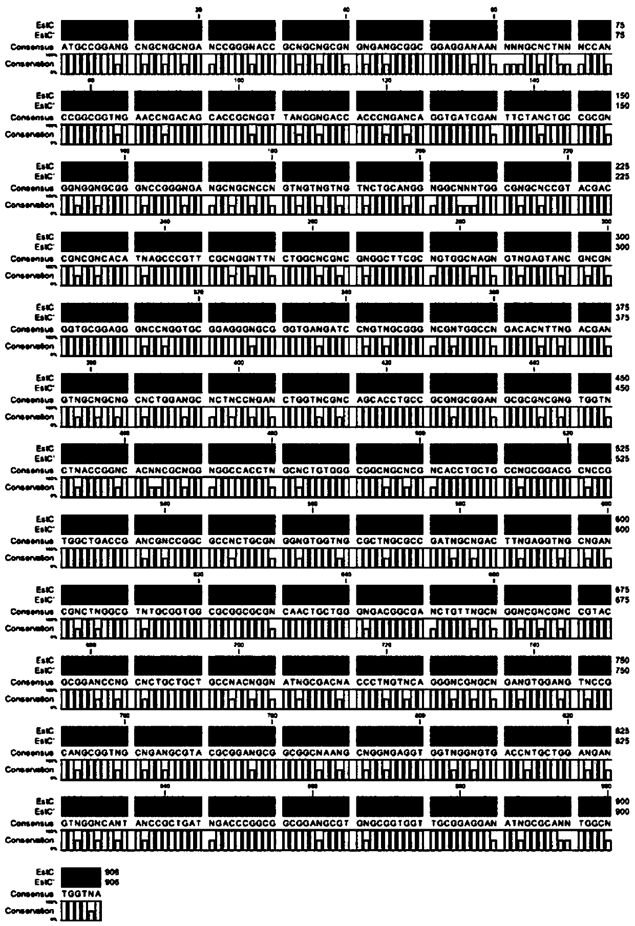 Carboxylesterase gene, recombinant plasmid, recombinant engineered bacterium, encoded protein and application