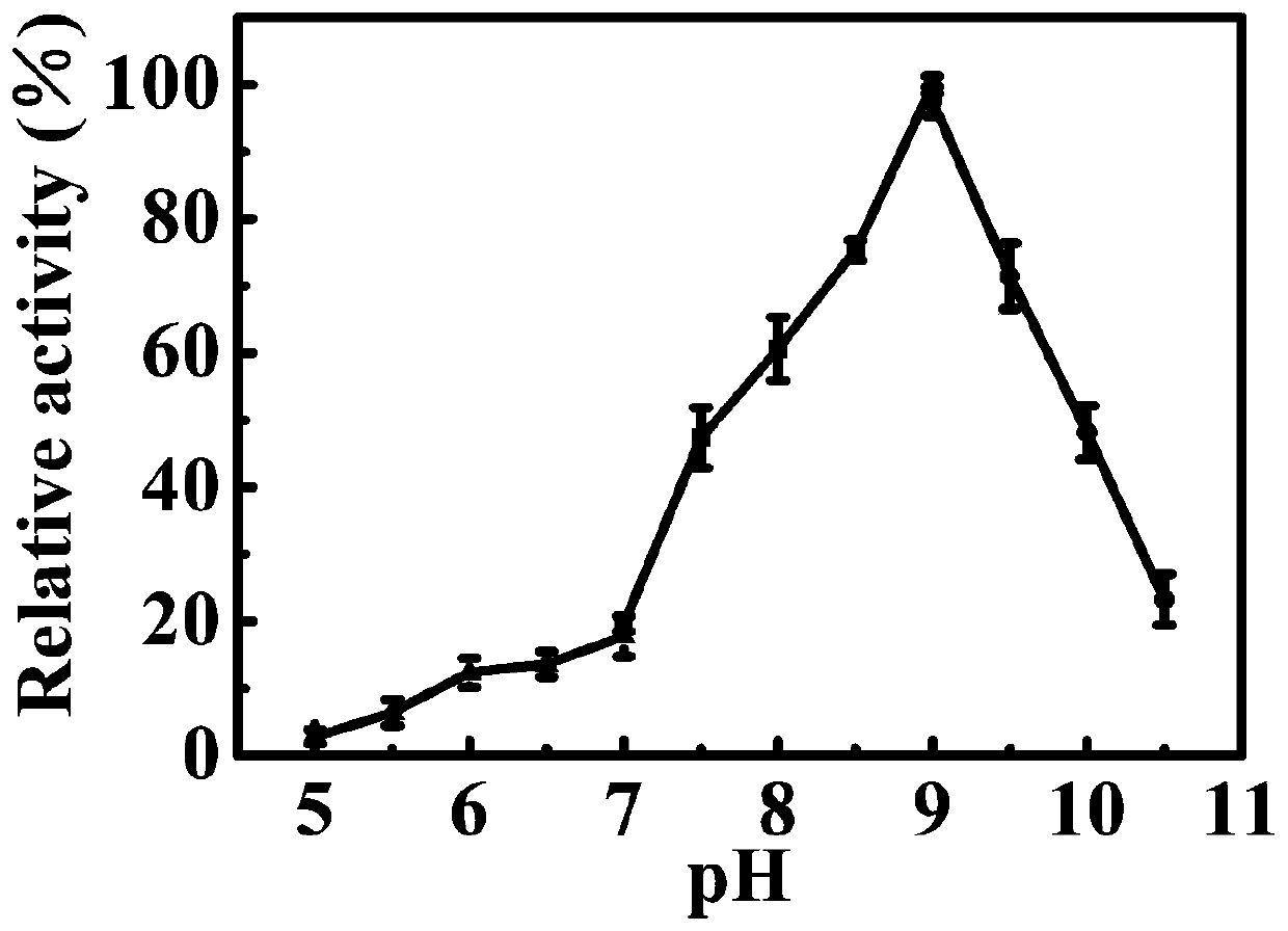 Carboxylesterase gene, recombinant plasmid, recombinant engineered bacterium, encoded protein and application