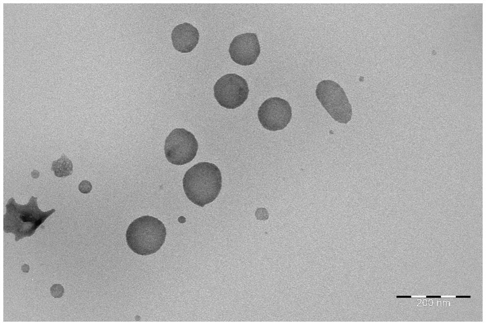 Self-assembled drug-loading system of o-nitrophenylpropionate-paclitaxel conjugate and its preparation method and application