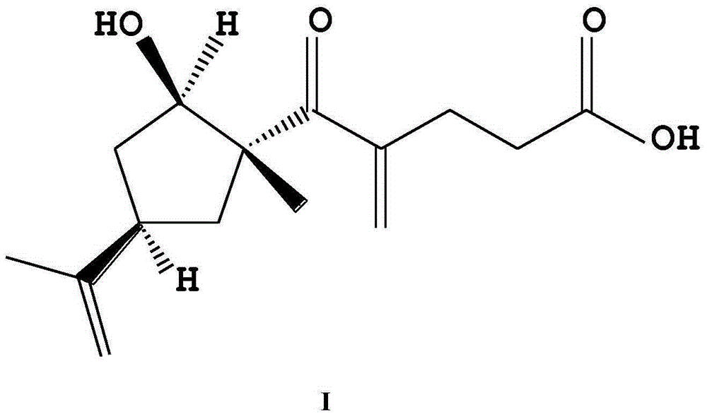 Composition and application thereof in medicine for increasing leukocyte