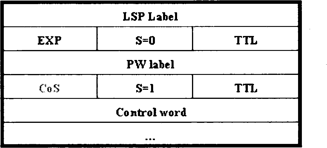 Service data transmission method and device