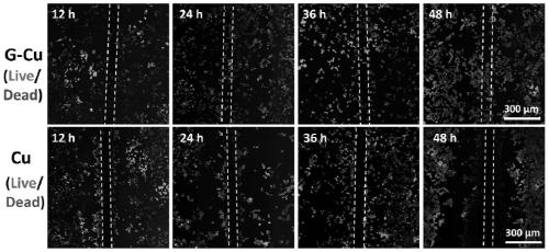 Graphene-coated copper-based biomaterial and its preparation method and application