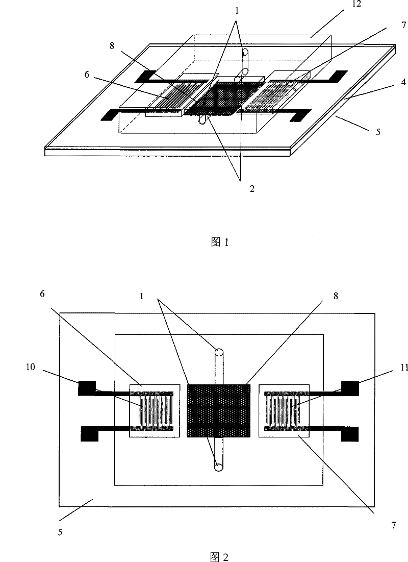 A device with a packaging structure of a Love wave sensor