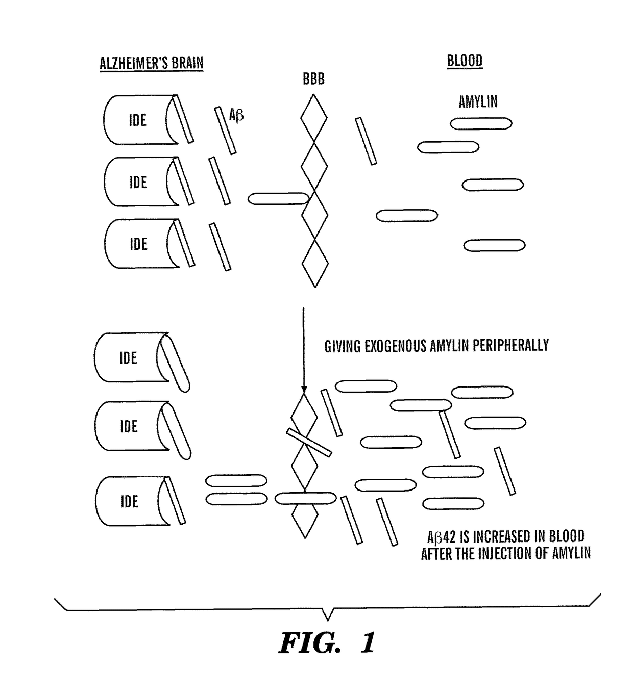 Compositions, methods and assays comprising amylin or amlyin analogs for abeta-peptide mediated disorders