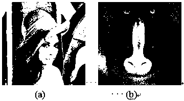 Digital image blind watermarking method based on two-dimensional discrete cosine transform