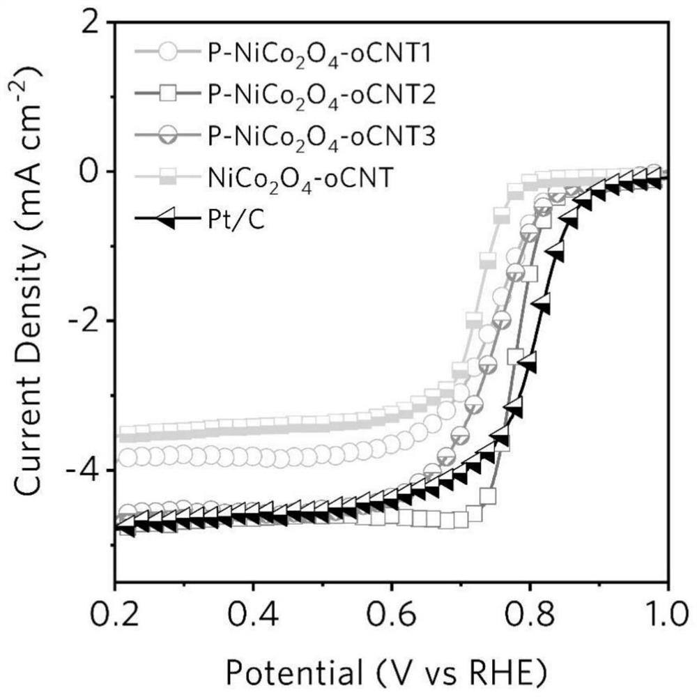Phosphorus-modified nickel cobaltate-modified carbon nanotube electrode catalyst