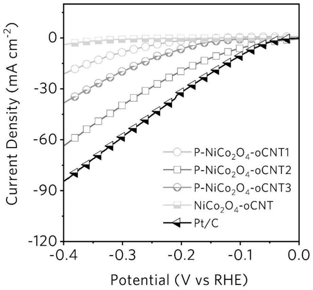 Phosphorus-modified nickel cobaltate-modified carbon nanotube electrode catalyst