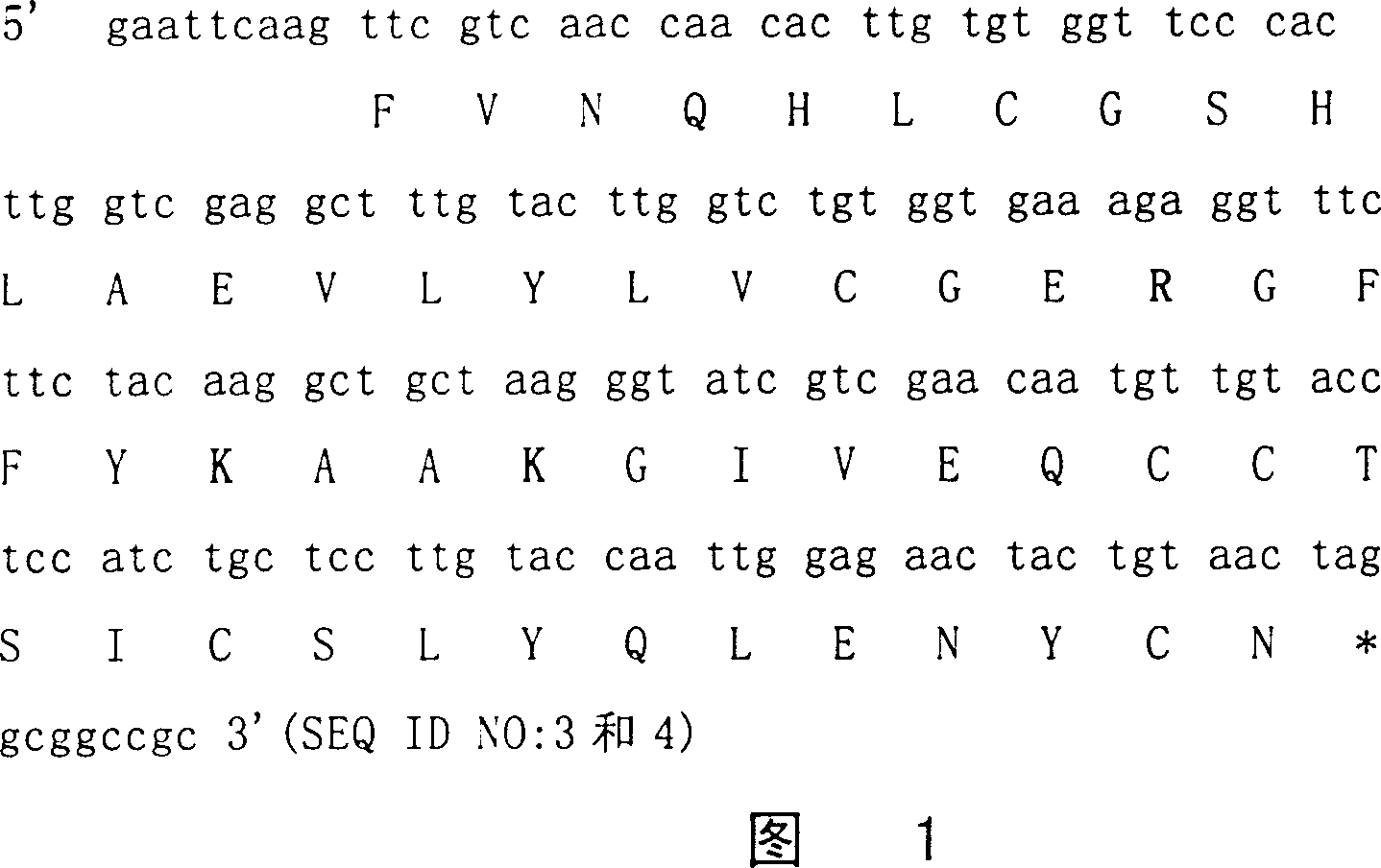 B-chain modified monomer quick-acting insulin and method for preparing same