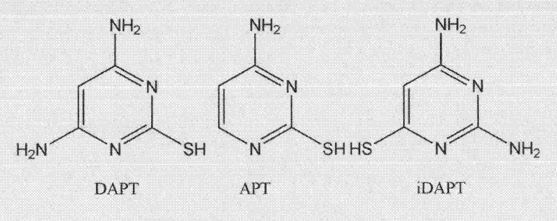 Amiopyrimidine-modified gold nano particles and preparation method and use thereof