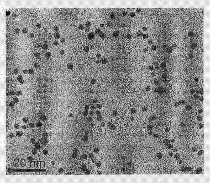 Amiopyrimidine-modified gold nano particles and preparation method and use thereof