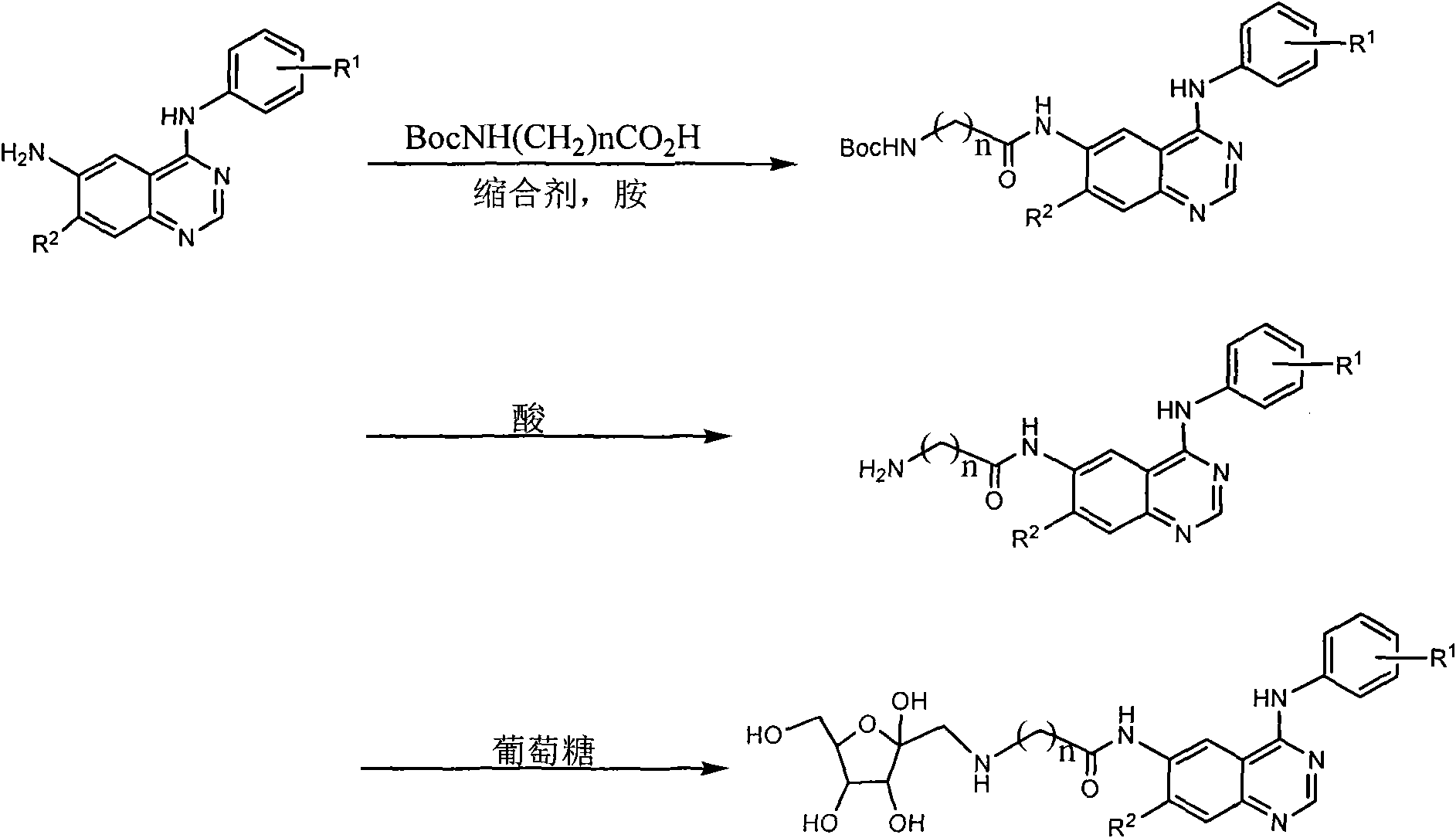 6-fructosamine-4-arylamidoquinazoline derivative and purpose thereof