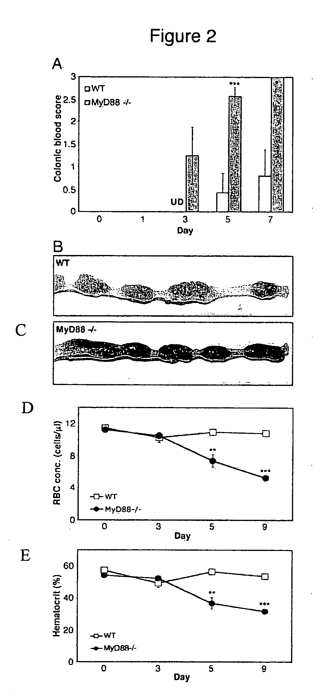 Treatment with agonists of toll-like receptors