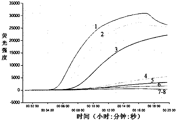 Detection kit, detection method and application for bacillus cereus