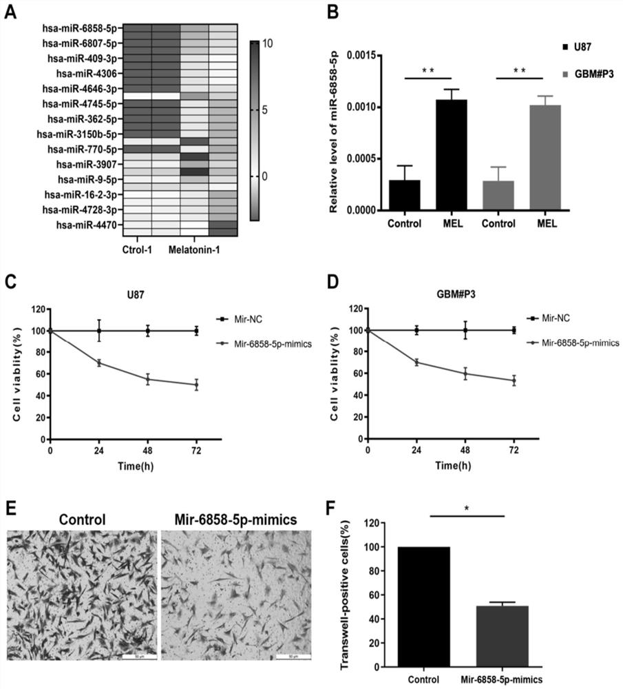 Application of mir-6858 in prevention and treatment of glioma with melatonin