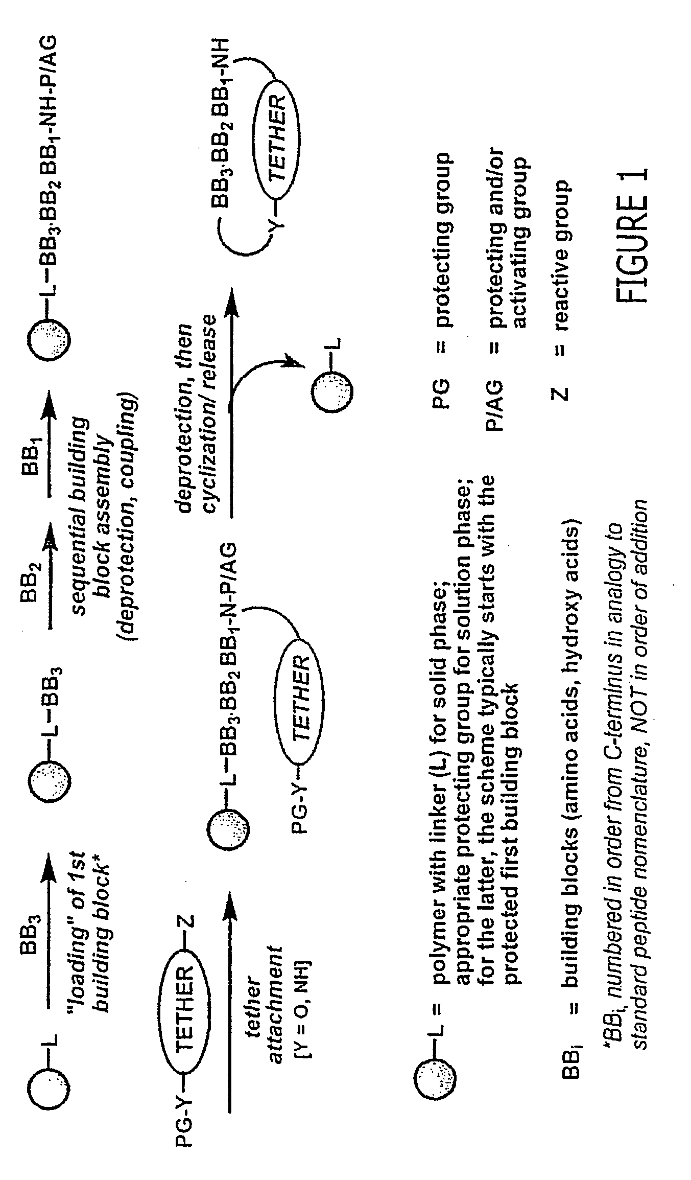 Methods of using macrocyclic modulators of the ghrelin receptor