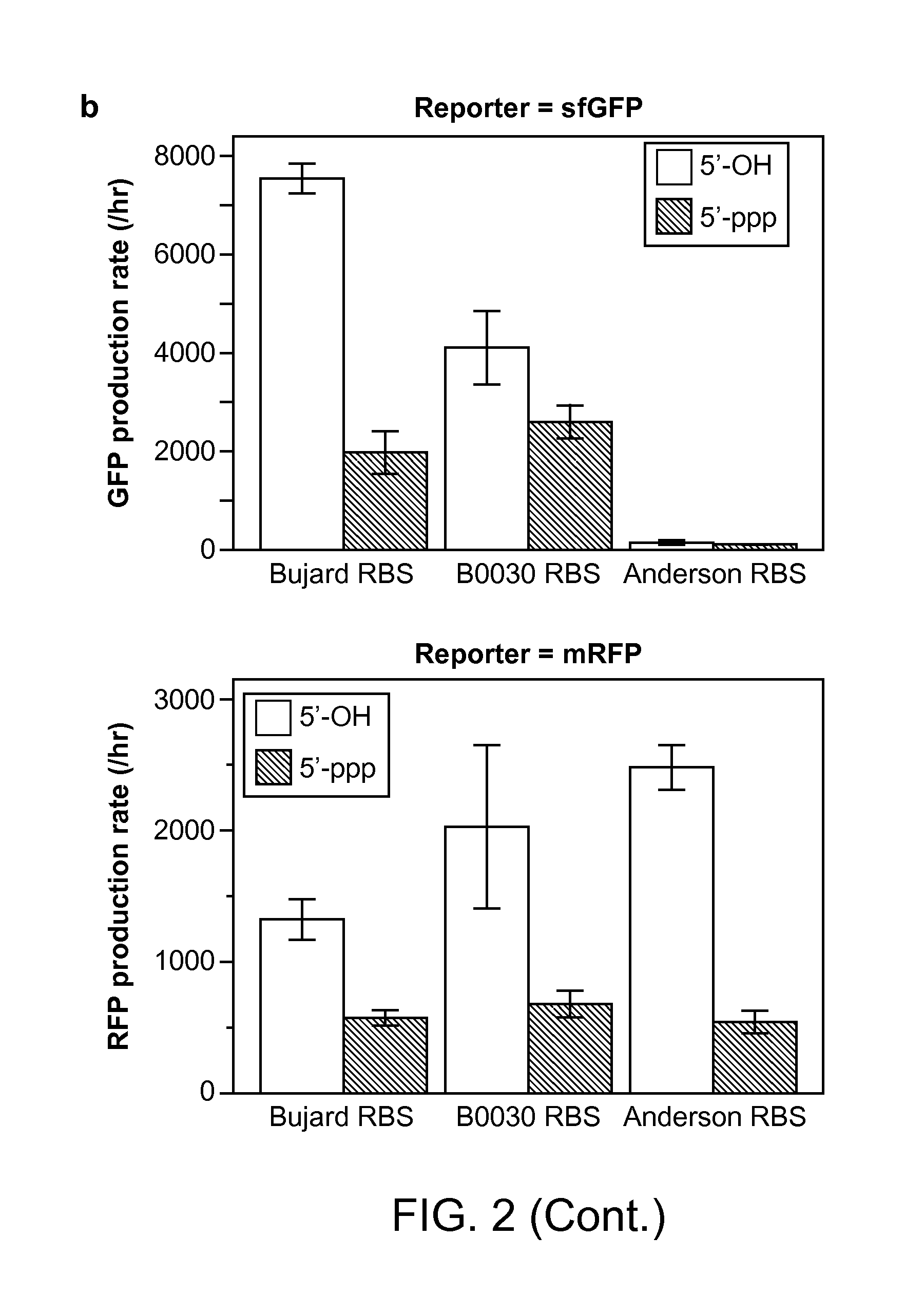 Methods and Compositions for Controlling Gene Expression by RNA Processing