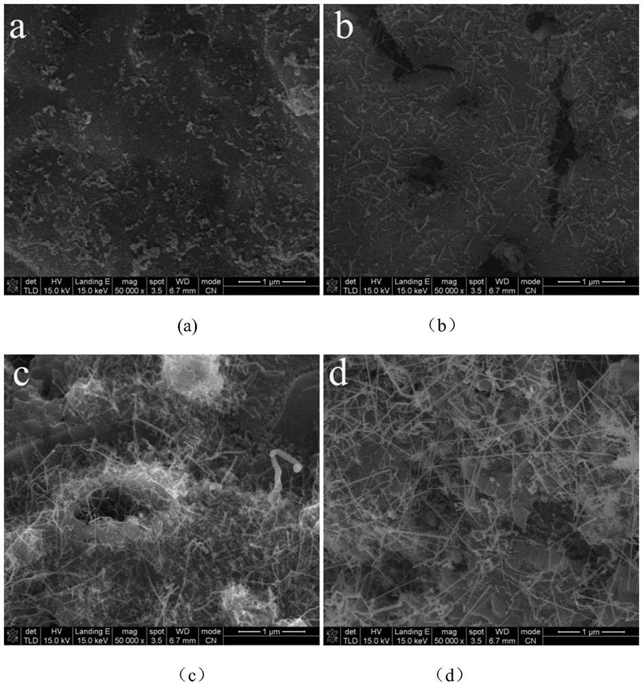Preparation method of silicon carbide nanowires in situ toughened ceramic precursor type high temperature adhesive