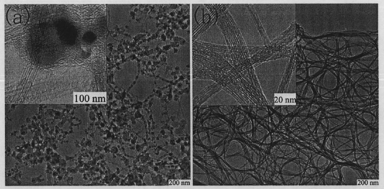 Purification method for obtaining high-purity carbon nano tube