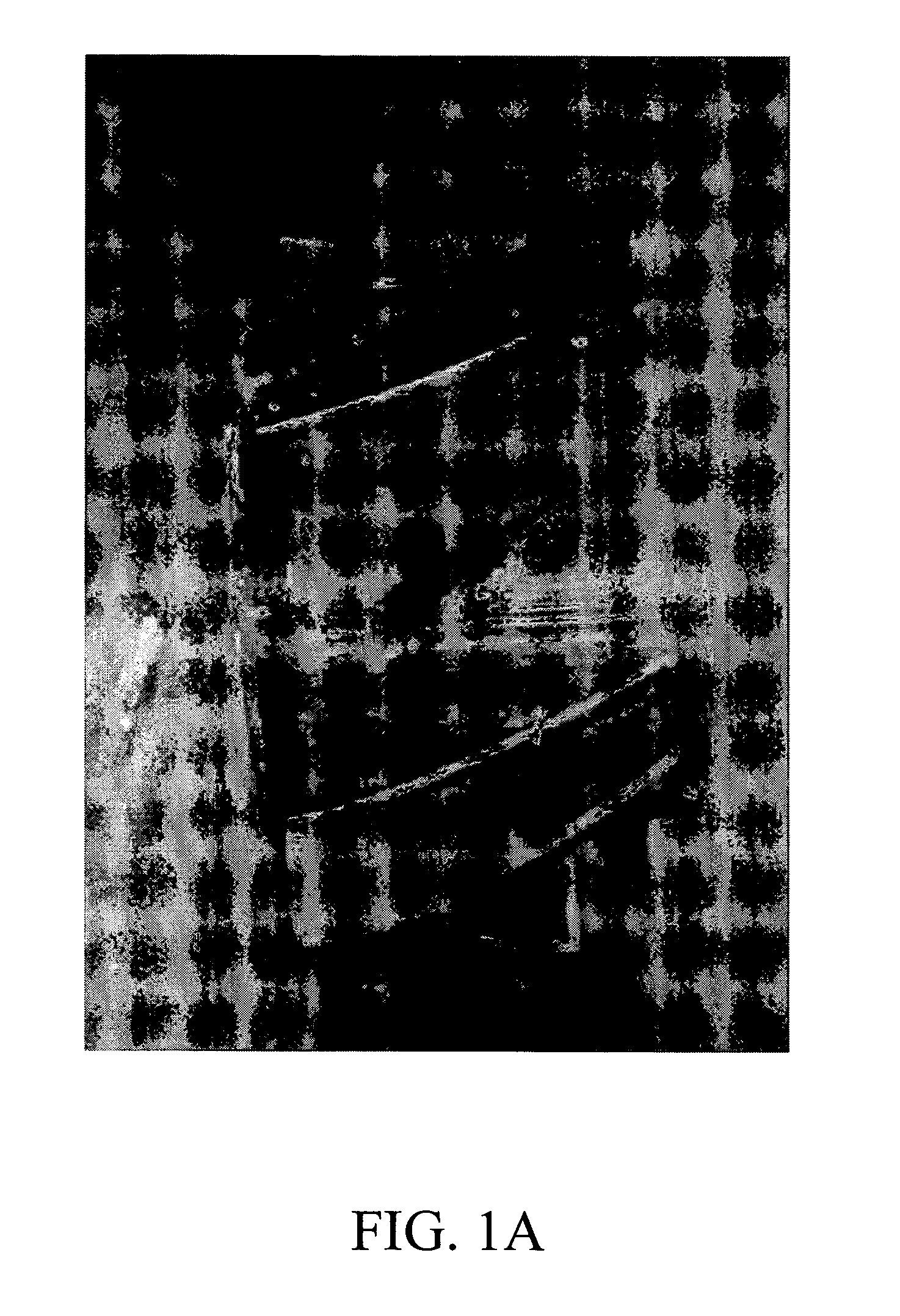 Reduction of tonal noise in cooling fans using splitter blades