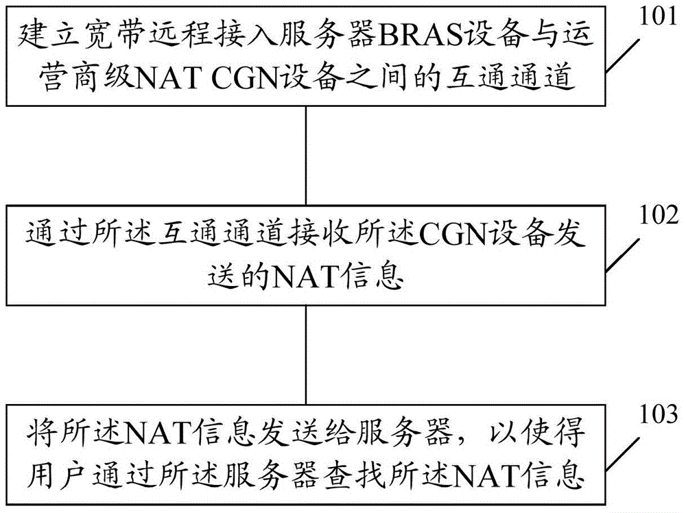 NAT information acquisition method and BRAS device