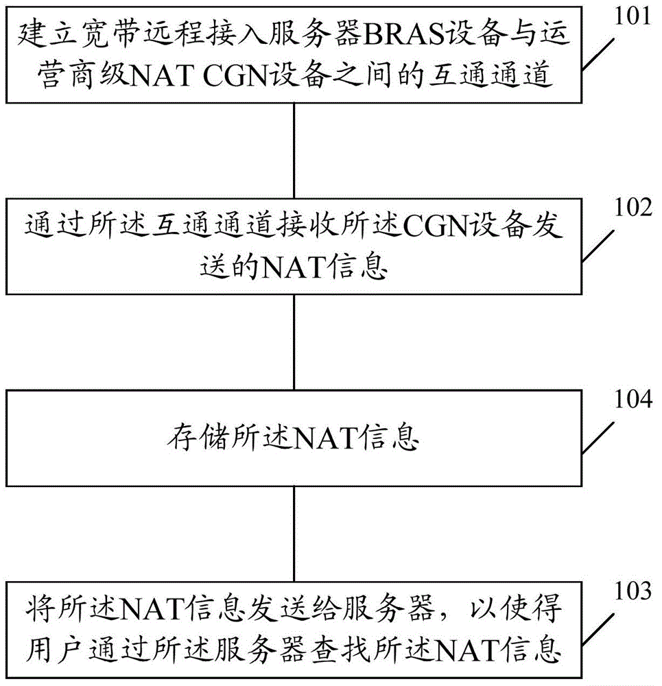 NAT information acquisition method and BRAS device