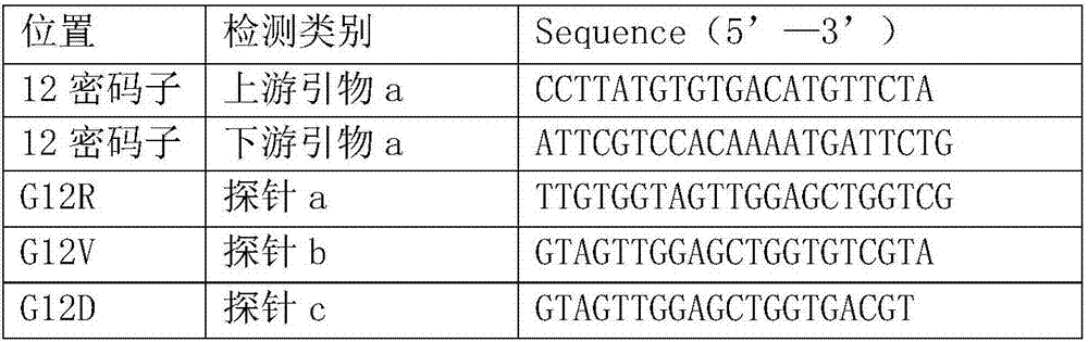 Primer probe for detecting mutation of KRAS gene and kit thereof