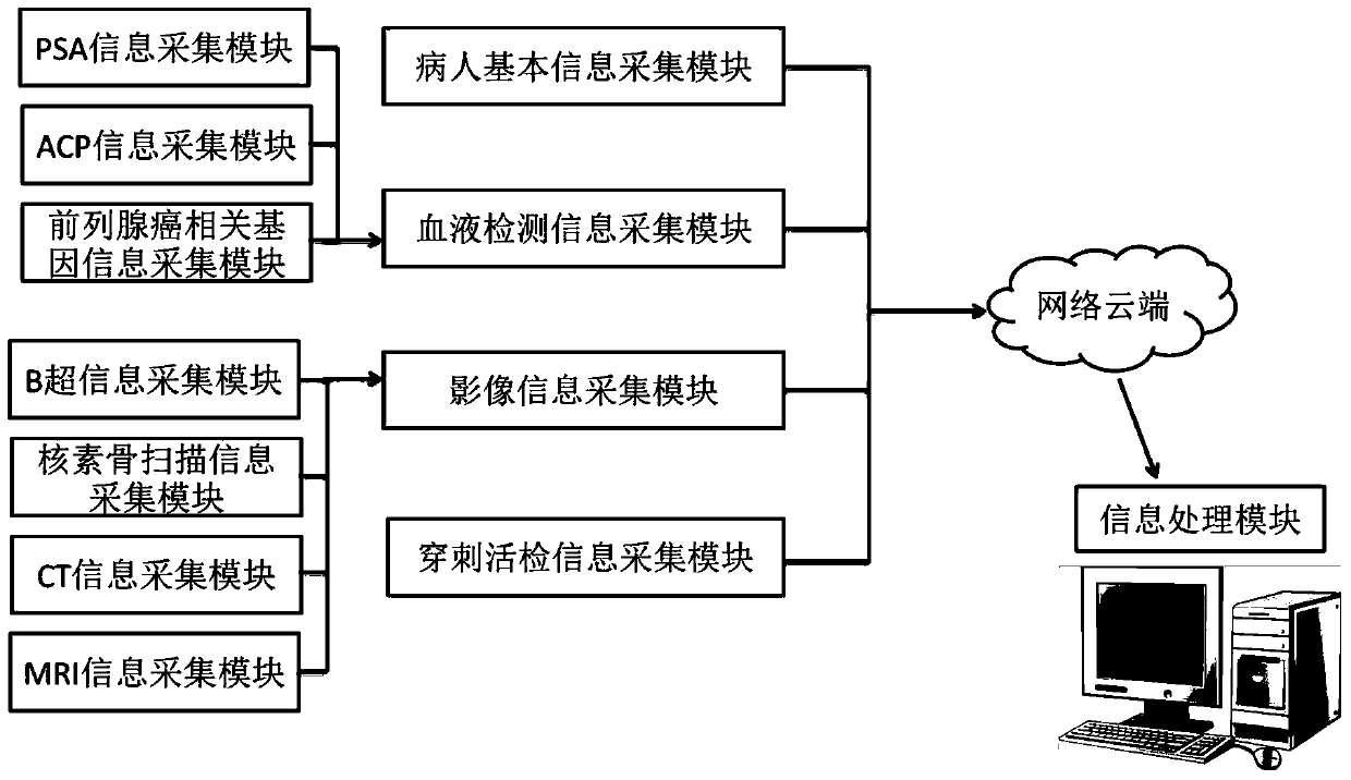 Prostate Cancer Diagnosis and Treatment Information Collection System