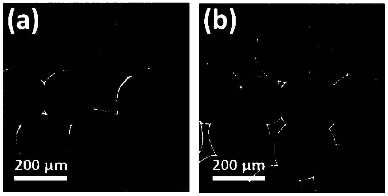 Three-segment functional degradable artificial ligament regeneration scaffold and preparation method thereof