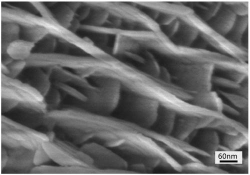 Preparation method of mesoporous-microporous dual pore ZSM-5 zeolite nano sheet