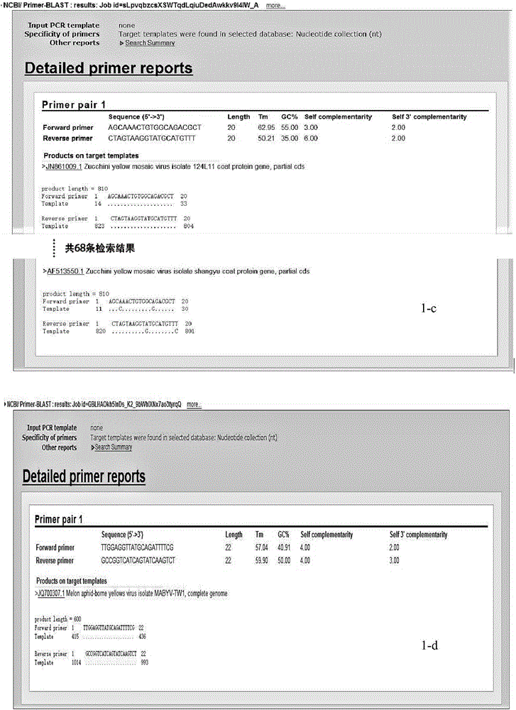 Multiple RT-PCR (Reverse Transcription-Polymerase Chain Reaction) method for synchronously detecting five watermelon viruses and application of method