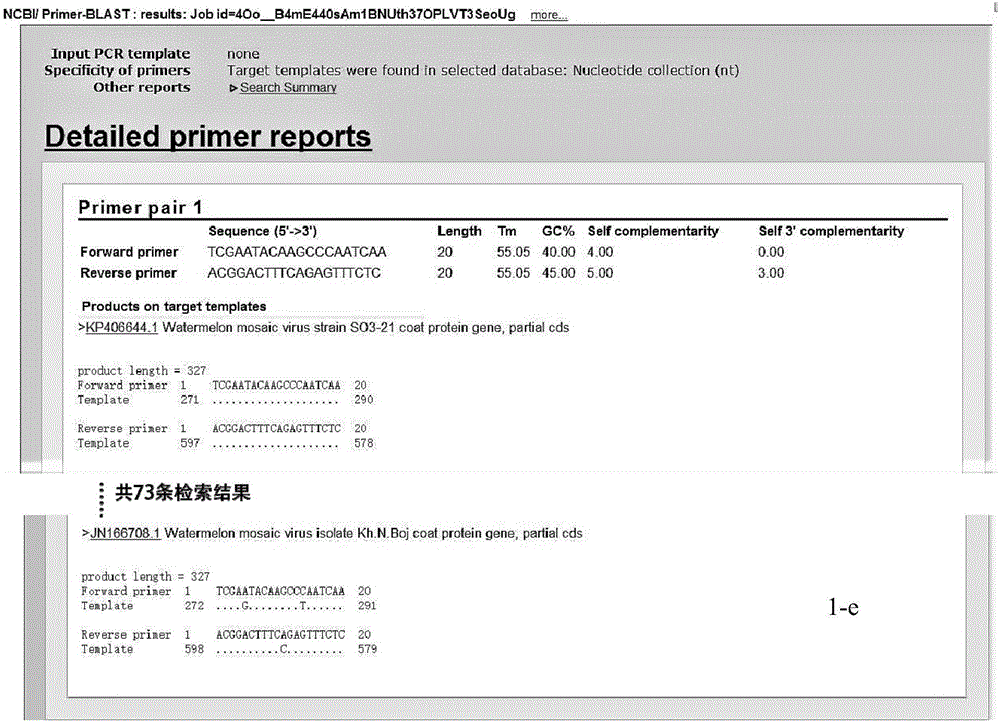 Multiple RT-PCR (Reverse Transcription-Polymerase Chain Reaction) method for synchronously detecting five watermelon viruses and application of method